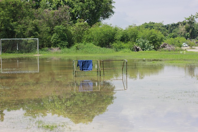 我们看到的 我们看到的
