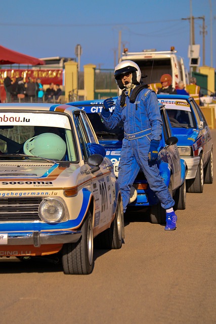 多猛龙的一 多猛龙的一